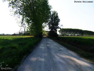 Villastellone: Anello N°1 Villastellone: Anello N°1