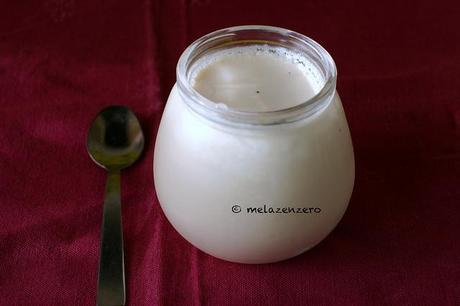 vanilla yogurt homemade