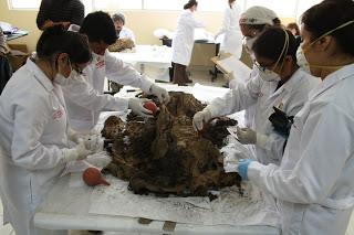 Scoperta un'altra mummia in Perù