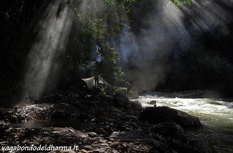 ketambe,sumatra