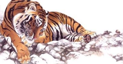 Tigre: un manhwa tra favola e naturalismo