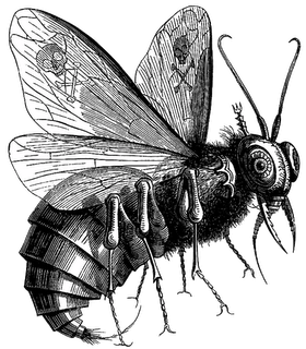 Blog: istruzioni per l'uso Blog: istruzioni per l'uso