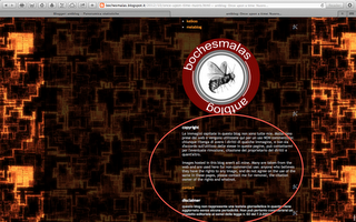 Blog: istruzioni per l'uso Blog: istruzioni per l'uso