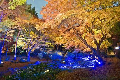 La bellezza dell’autunno nel Giardino Rikugi-en