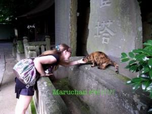 Maruchan e il gatto giapponese del tempio