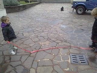 FUORI TUTTI! FUORI TUTTI!