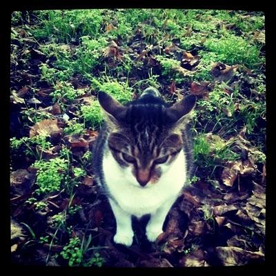 365project • pic 76/365 365project • pic 76/365