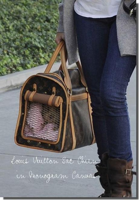 Ashley Tisdale: Gucci Crest Boule Fabric tote & Louis Vuitton Sac Chien