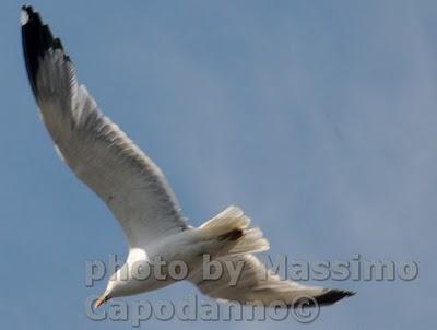 POSITANO E' .......2012