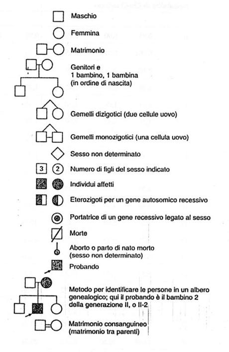 Un albero genealogico per il daltonismo