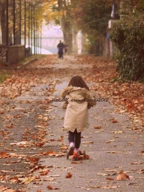 In un giorno d'autunno.....