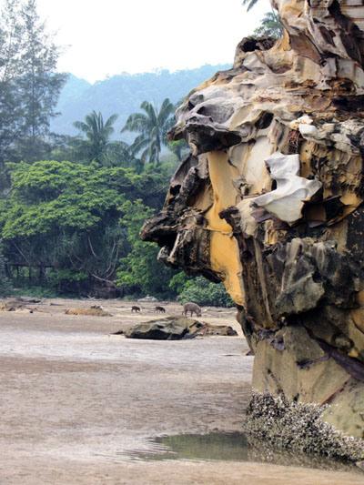 …Malaysia: Taman Negara e Sarawak/Borneo