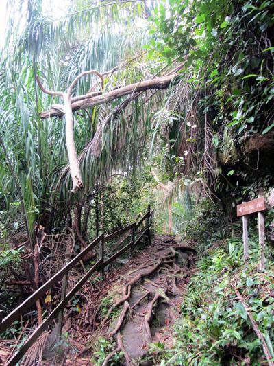 …Malaysia: Taman Negara e Sarawak/Borneo