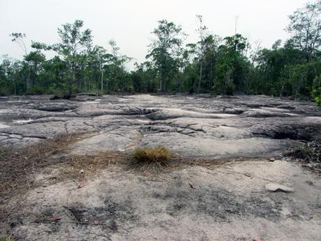 …Malaysia: Taman Negara e Sarawak/Borneo