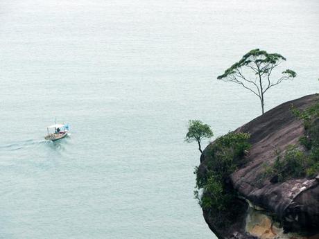 …Malaysia: Taman Negara e Sarawak/Borneo