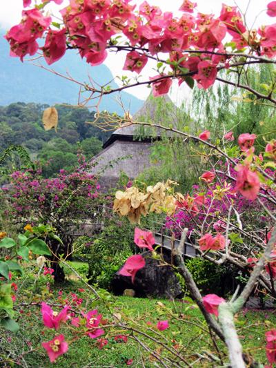 …Malaysia: Taman Negara e Sarawak/Borneo