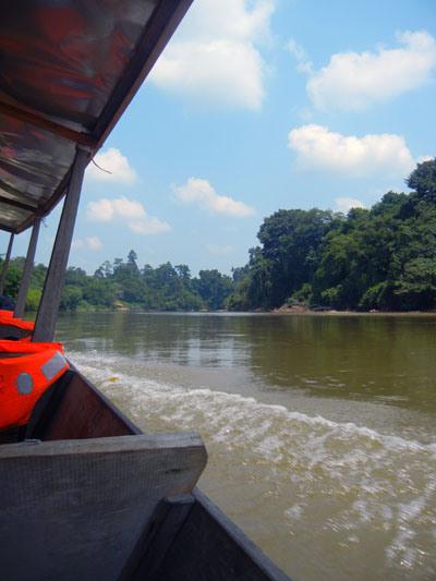 …Malaysia: Taman Negara e Sarawak/Borneo