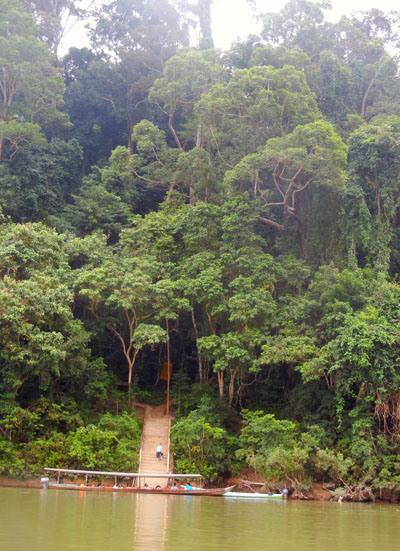 …Malaysia: Taman Negara e Sarawak/Borneo