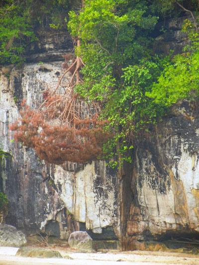 …Malaysia: Taman Negara e Sarawak/Borneo