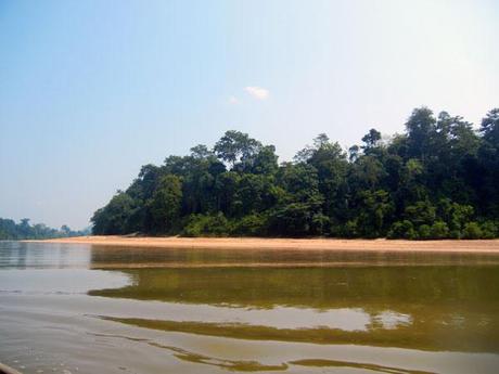 …Malaysia: Taman Negara e Sarawak/Borneo