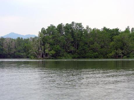 …Malaysia: Taman Negara e Sarawak/Borneo