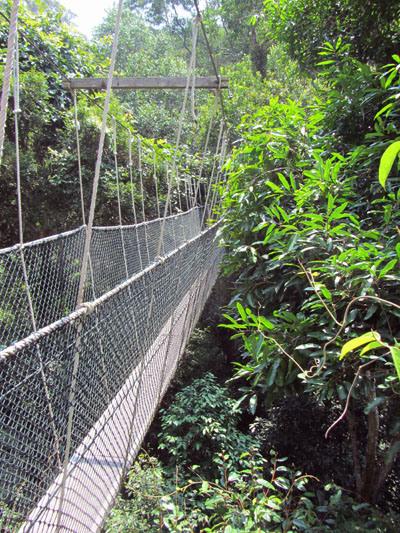 …Malaysia: Taman Negara e Sarawak/Borneo