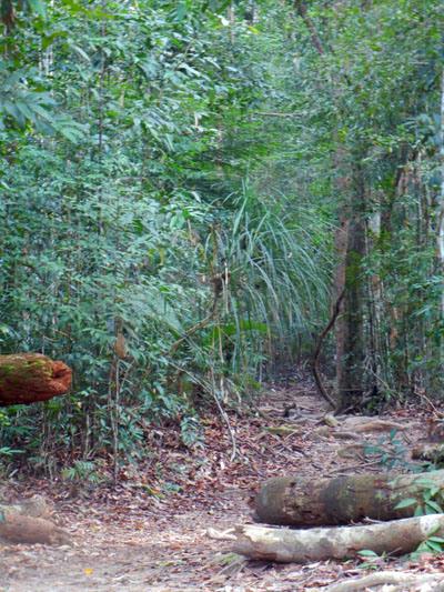 …Malaysia: Taman Negara e Sarawak/Borneo