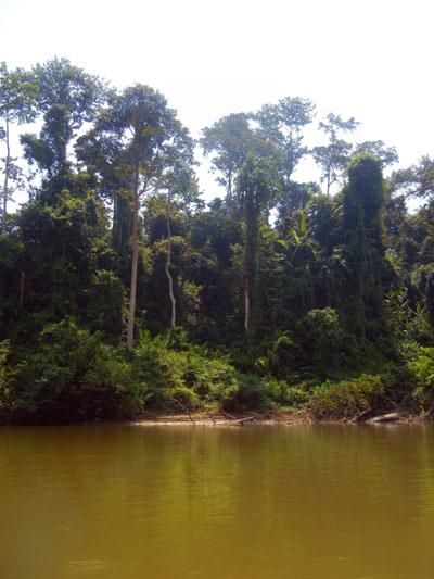 …Malaysia: Taman Negara e Sarawak/Borneo