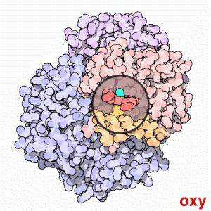 Sull’estetica delle molecole, ovvero può una molecola essere sexy?