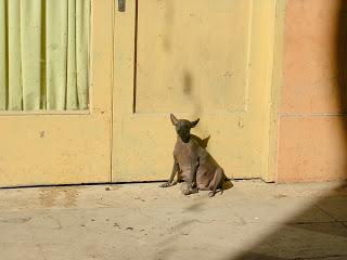 L'Avana, Cuba