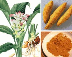 curcuma e cuore. uno studio del british journal of nutrition