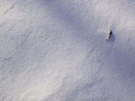 Consistenza, temperatura, angeli nella neve