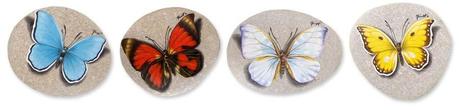 Sassi dipinti bomboniere farfalle