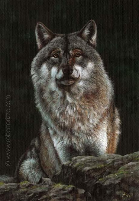 Wolf - wildlife art by Roberto Rizzo
