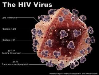 Dal virus dell’HiV “disattivato” un’inaspettata speranza per la lotta alla leucemia
