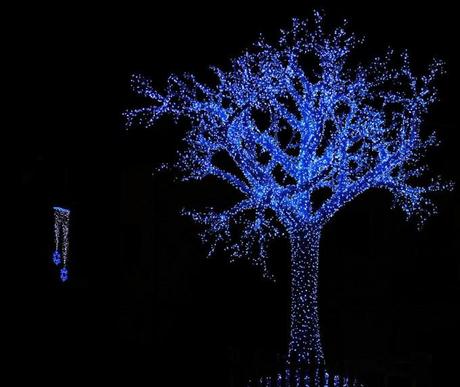 Mercatini natalizi in Campania Albero Natale