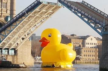 50-foot-rubber-duck-bobs-along-the-river-thames-1-25396-1355259510-0_big