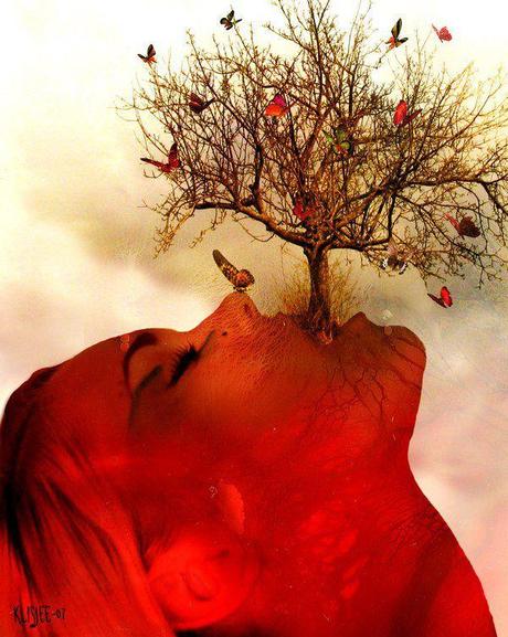 e un albero è sempre un urlo di gioia… e un albero è sempre un urlo di gioia…