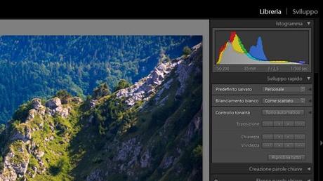 Lightroom 4.3: arriva il supporto RAW per Canon 6D e Nikon D600 menu-di-lightroom-senza-alcuni-moduli-terapixel.jpg