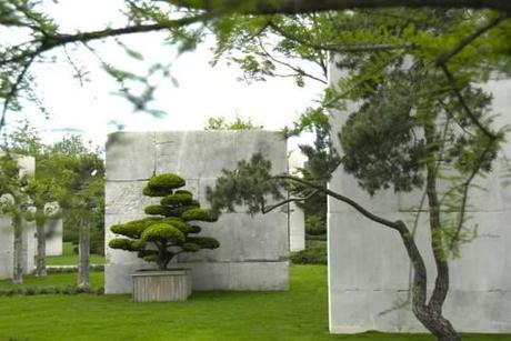 Il Museo degli Alberi di Zurigo / The Tree Museum in Zurich