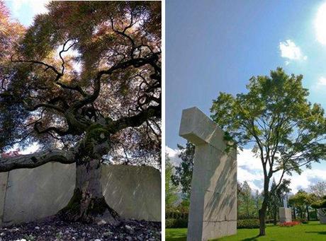 Il Museo degli Alberi di Zurigo / The Tree Museum in Zurich