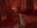 Transfusion (ex-gBlood) è un remake di Blood che utilizza il motore grafico di Quake, in particolare DarkPlace. action03