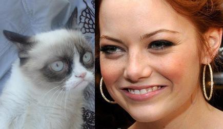 Emma-Stone-somiglia-a-Tard-the-Grumpy-Cat