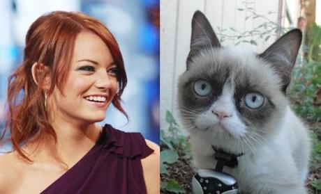 Emma-Stone-and-Grumpy-Cat-lookalike