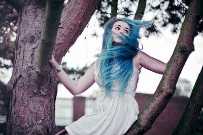 La fata dai capelli blu La fata dai capelli blu