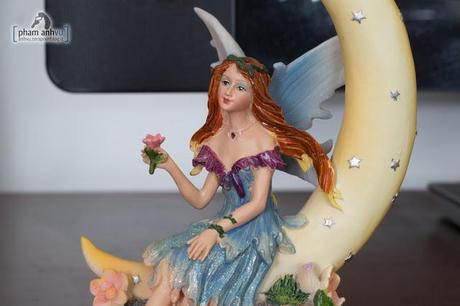 Test Canon 6D a tutti gli ISO IMG_6202.jpg