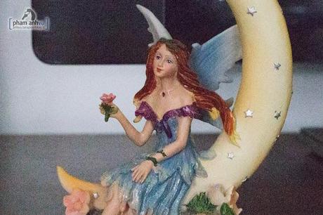 Test Canon 6D a tutti gli ISO IMG_6213.jpg