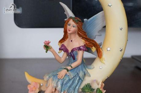 Test Canon 6D a tutti gli ISO IMG_6209.jpg