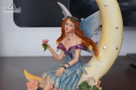 Test Canon 6D a tutti gli ISO IMG_6206.jpg