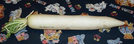 Sanji’s Recepies Corner #1 – Brodo di Daikon Daikon